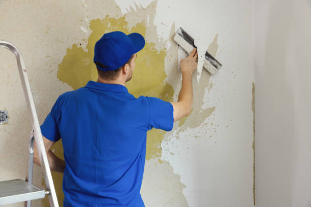 the best wallpaper removal services Franklin