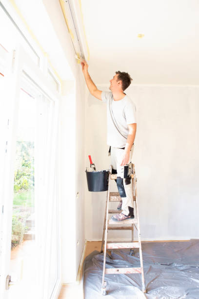 the best Franklin painting services